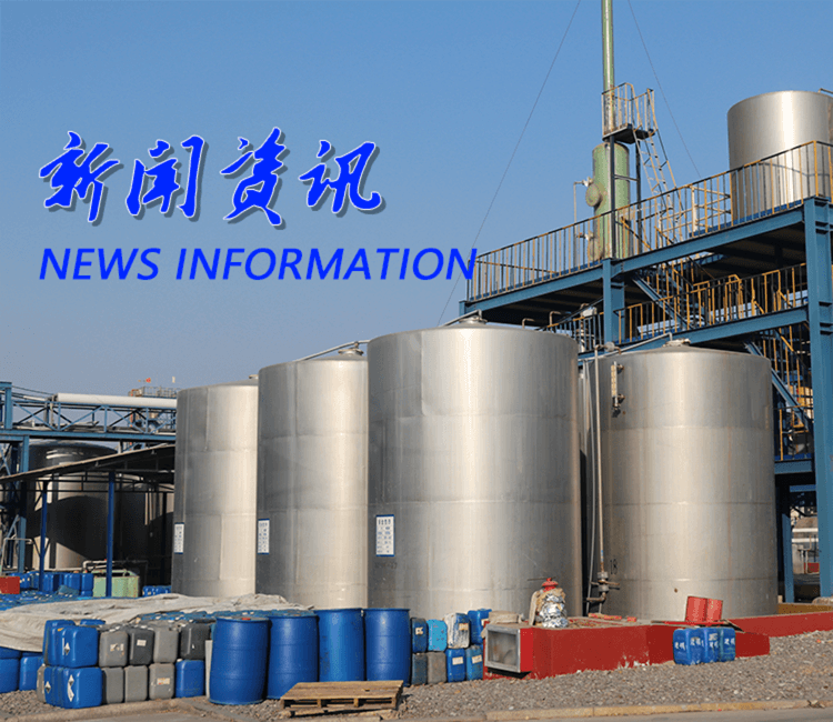 新闻资讯